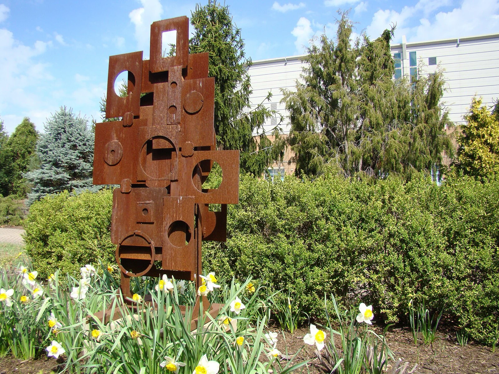 A rusted steel assemblage sculpture standing in a planted bed of daffodils beside a campus building.