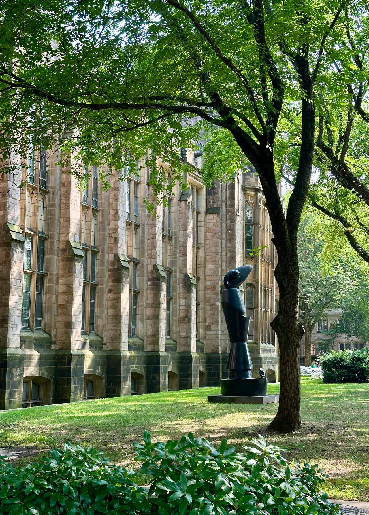 A dark bronze abstract sculpture on a campus lawn beside a Gothic stone building, shaded by a tree